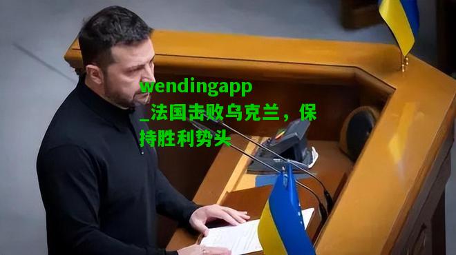 wendingapp_法国击败乌克兰，保持胜利势头  第2张