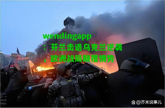 wendingapp：芬兰击退乌克兰逆袭，欧洲战局颠覆情势  第1张