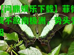 【问鼎娱乐下载】菲律宾不敌南极洲，势头受阻  第1张