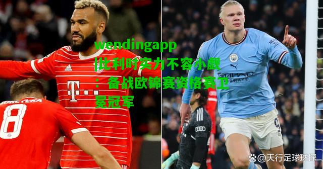 wendingapp|比利时实力不容小觑：备战欧锦赛资格赛卫冕冠军